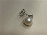 Orecchini Recarlo Donna in Oro bianco Perla 0.11 Ct XD027/0830 - XD027/0830